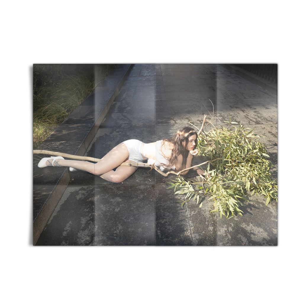 LUX Photo Hoodie + Poster Box Set